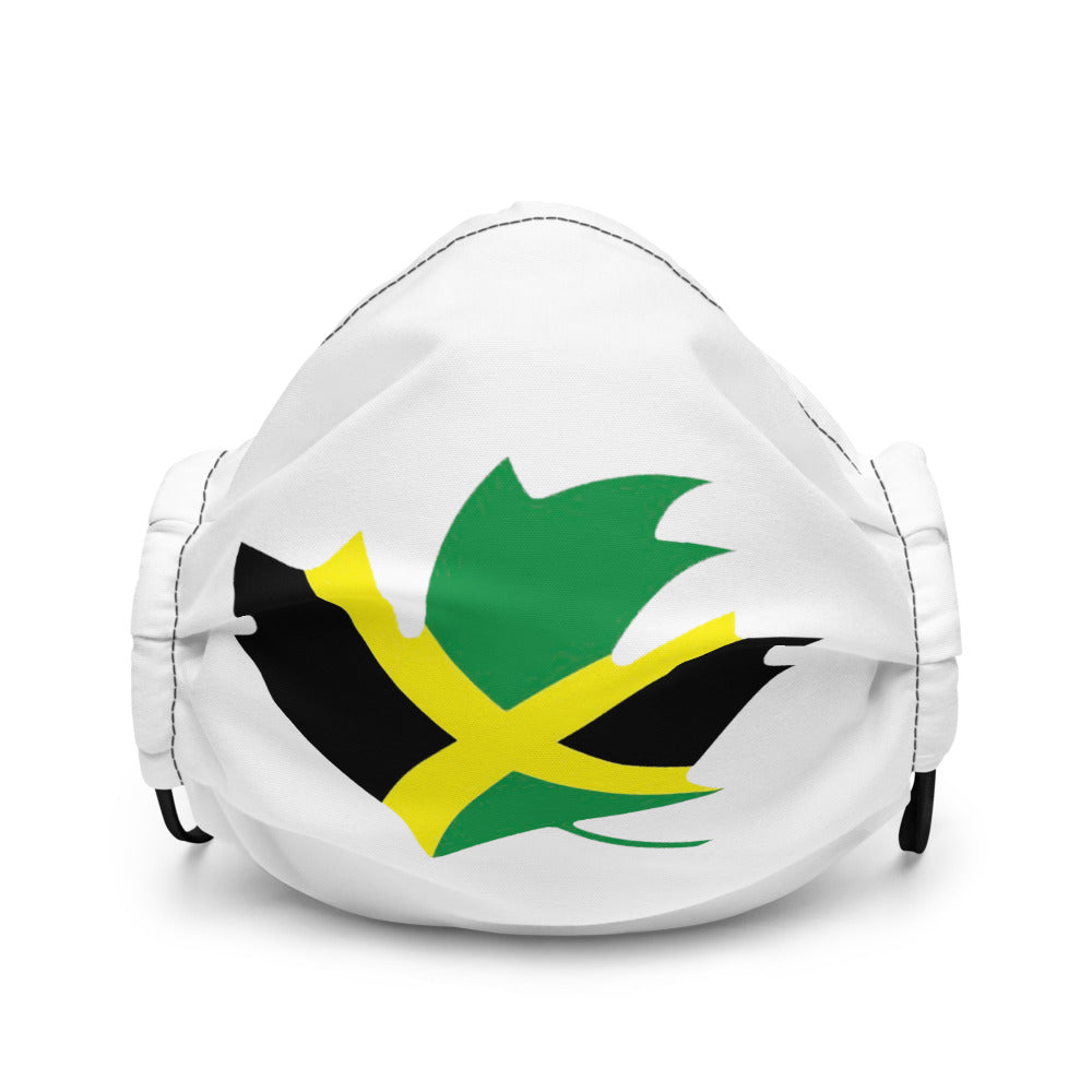 Premium Face Mask